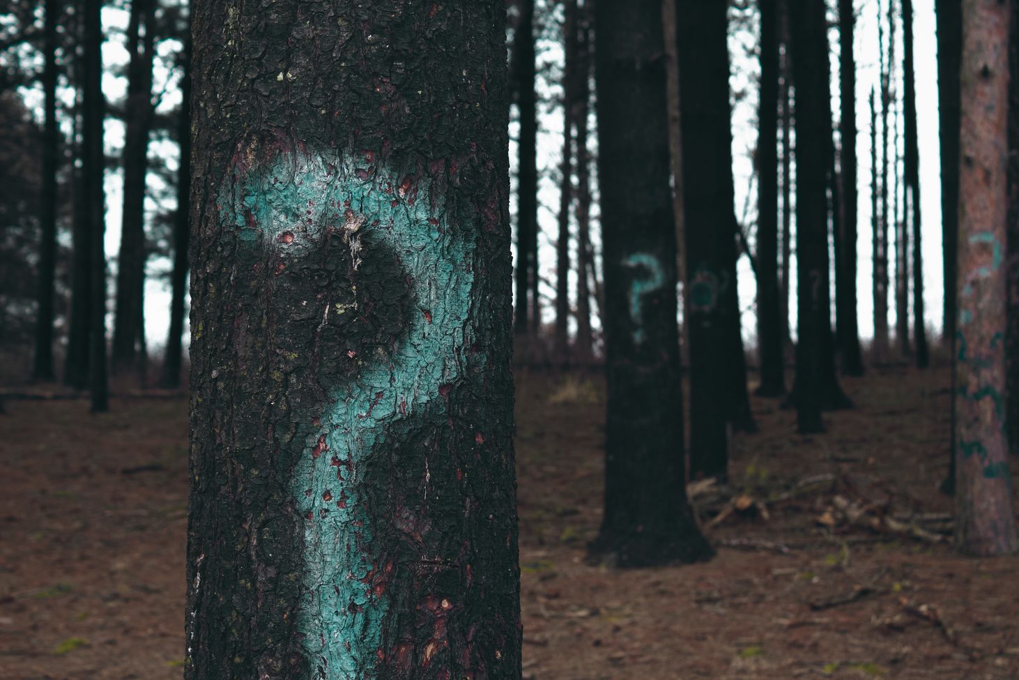 Keep asking the "basic" user experience questions